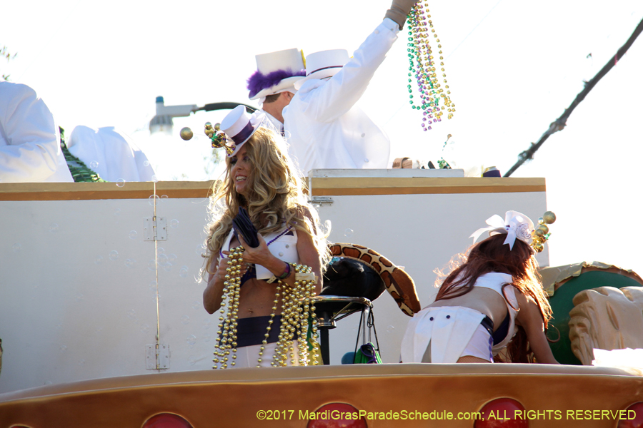 Krewe-of-Tucks-2017-08868