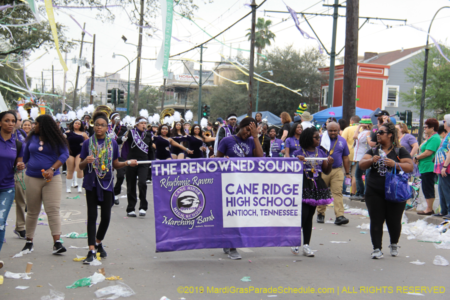 Krewe-of-Tucks-2019-007133