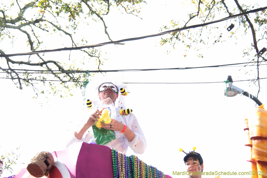 Krewe-of-Tucks-2020-06511