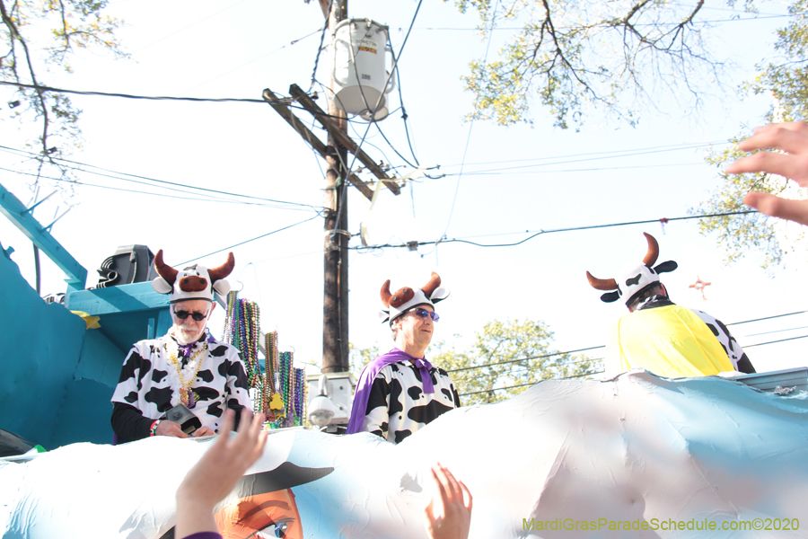 Krewe-of-Tucks-2020-07030