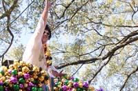 Krewe-of-Tucks-2020-06778