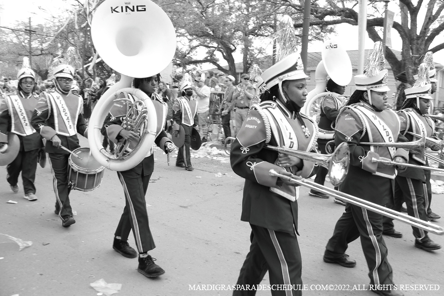 Krewe-of-Tucks-00271-2022