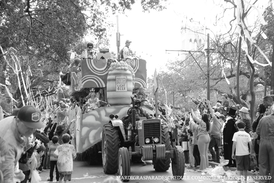 Krewe-of-Tucks-00356-2022