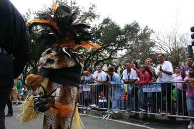 2008-Zulu-Social-Aid-and-Pleasure-Club-Mardi-Gras-New-Orleans-2008-0209