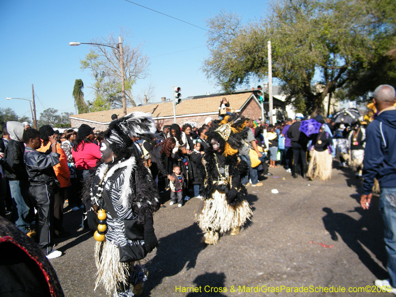 Zulu-Social-Aid-and-Pleasure-Club-2009-Centennial-Parade-mardi-Gras-New-Orleans-Photos-by-Harriet-Cross-0274