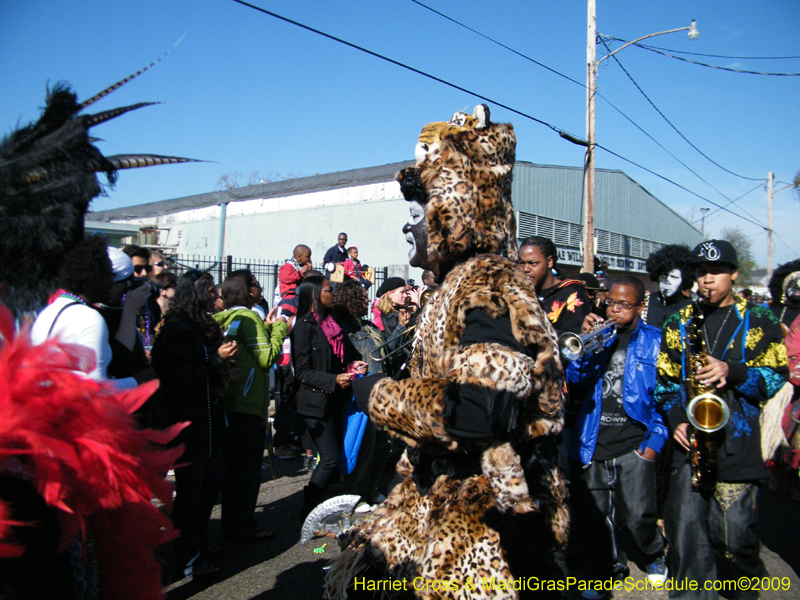 Zulu-Social-Aid-and-Pleasure-Club-2009-Centennial-Parade-mardi-Gras-New-Orleans-Photos-by-Harriet-Cross-0348