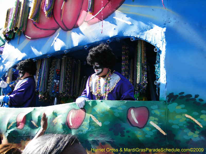 Zulu-Social-Aid-and-Pleasure-Club-2009-Centennial-Parade-mardi-Gras-New-Orleans-Photos-by-Harriet-Cross-0440