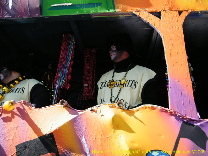 Zulu-Social-Aid-and-Pleasure-Club-2009-Centennial-Parade-mardi-Gras-New-Orleans-Photos-by-Harriet-Cross-0502