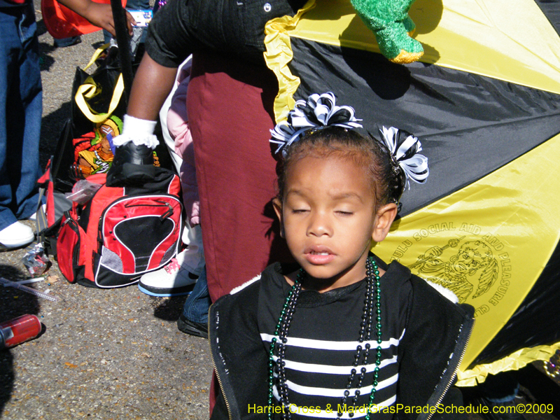 Zulu-Social-Aid-and-Pleasure-Club-2009-Centennial-Parade-mardi-Gras-New-Orleans-Photos-by-Harriet-Cross-0516