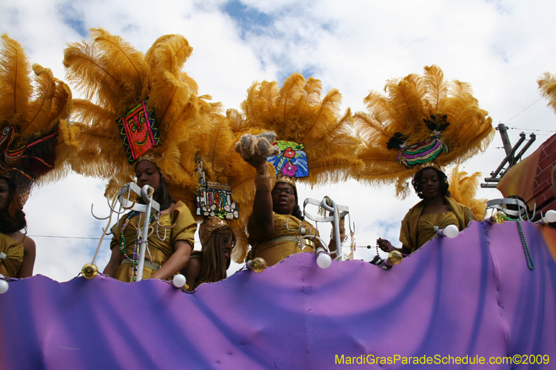 2009-Zulu-Social-Aid-and-Pleasure-Club-100-year-anniversary-Mardi-Gras-New-Orleans-2333