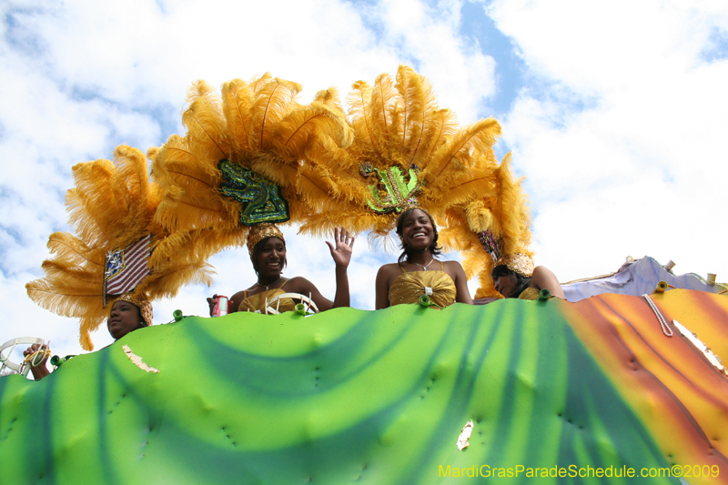 2009-Zulu-Social-Aid-and-Pleasure-Club-100-year-anniversary-Mardi-Gras-New-Orleans-2345