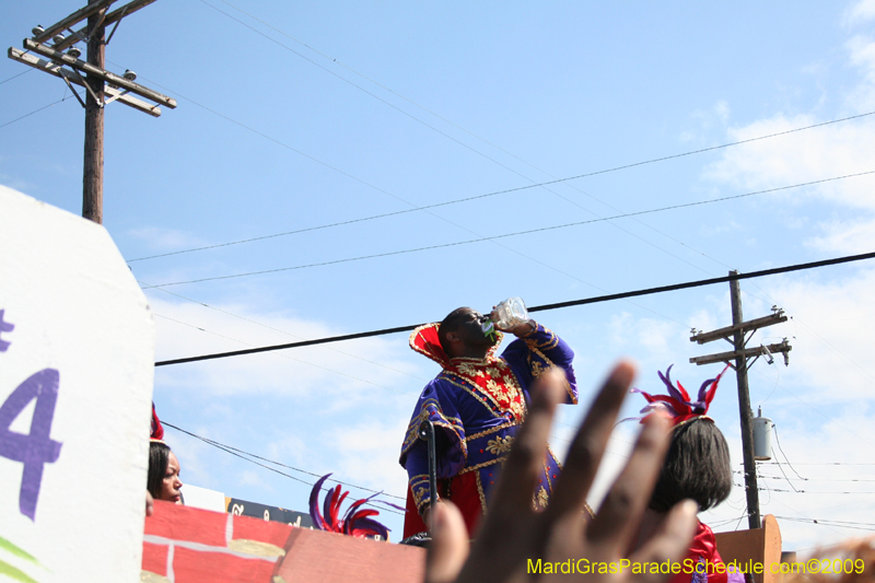 2009-Zulu-Social-Aid-and-Pleasure-Club-100-year-anniversary-Mardi-Gras-New-Orleans-2453