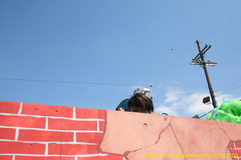 2009-Zulu-Social-Aid-and-Pleasure-Club-100-year-anniversary-Mardi-Gras-New-Orleans-2459