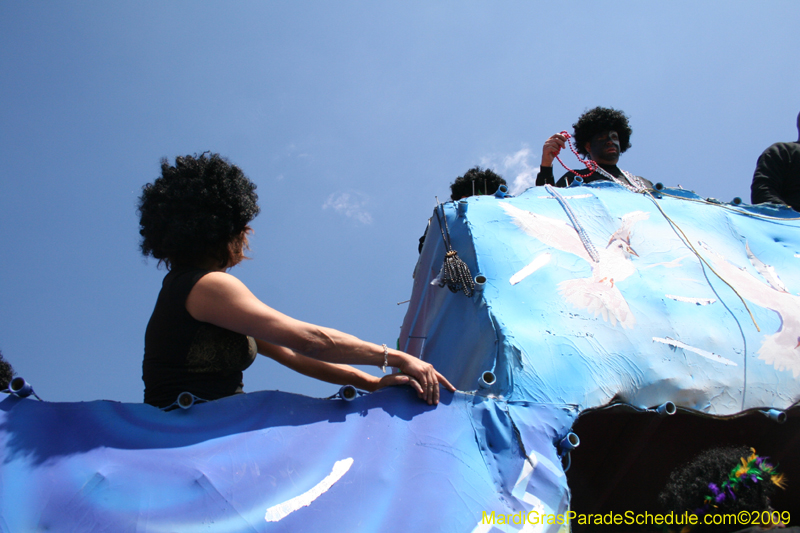 2009-Zulu-Social-Aid-and-Pleasure-Club-100-year-anniversary-Mardi-Gras-New-Orleans-2483