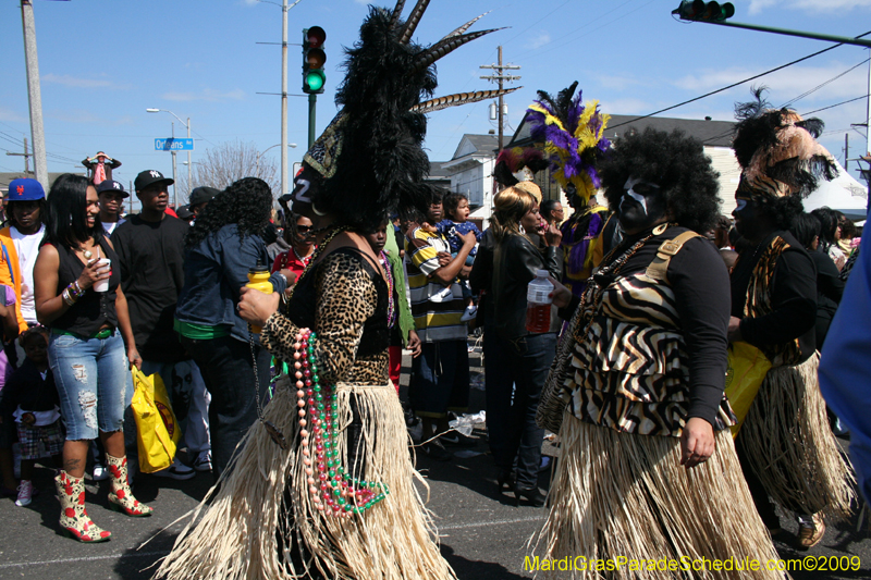 2009-Zulu-Social-Aid-and-Pleasure-Club-100-year-anniversary-Mardi-Gras-New-Orleans-2509