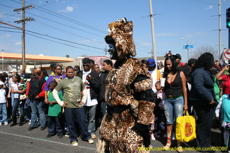 2009-Zulu-Social-Aid-and-Pleasure-Club-100-year-anniversary-Mardi-Gras-New-Orleans-2517