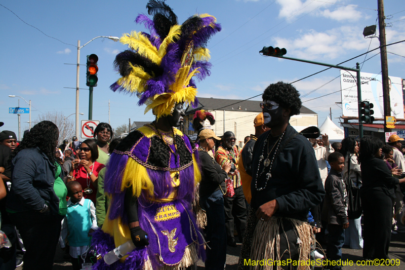 2009-Zulu-Social-Aid-and-Pleasure-Club-100-year-anniversary-Mardi-Gras-New-Orleans-2519