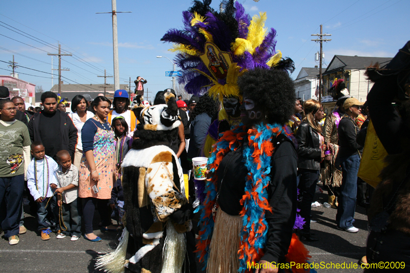 2009-Zulu-Social-Aid-and-Pleasure-Club-100-year-anniversary-Mardi-Gras-New-Orleans-2520