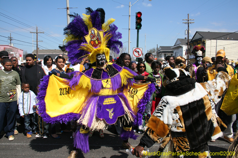 2009-Zulu-Social-Aid-and-Pleasure-Club-100-year-anniversary-Mardi-Gras-New-Orleans-2521