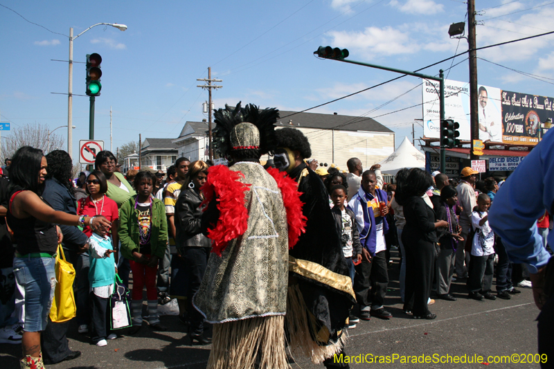 2009-Zulu-Social-Aid-and-Pleasure-Club-100-year-anniversary-Mardi-Gras-New-Orleans-2524