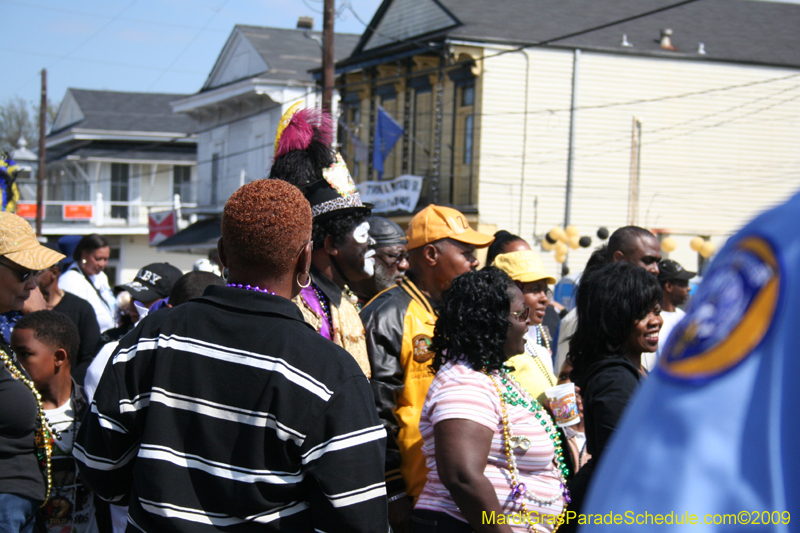 2009-Zulu-Social-Aid-and-Pleasure-Club-100-year-anniversary-Mardi-Gras-New-Orleans-2545