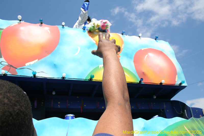 2009-Zulu-Social-Aid-and-Pleasure-Club-100-year-anniversary-Mardi-Gras-New-Orleans-2596