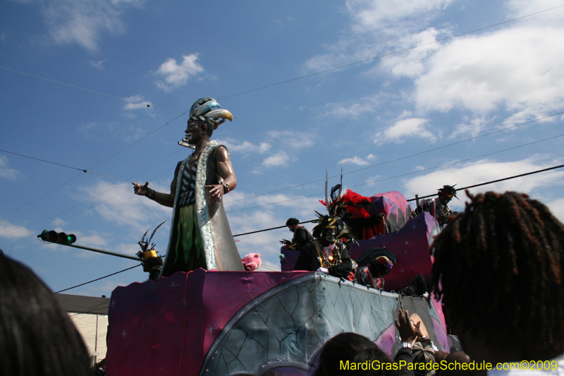 2009-Zulu-Social-Aid-and-Pleasure-Club-100-year-anniversary-Mardi-Gras-New-Orleans-2599