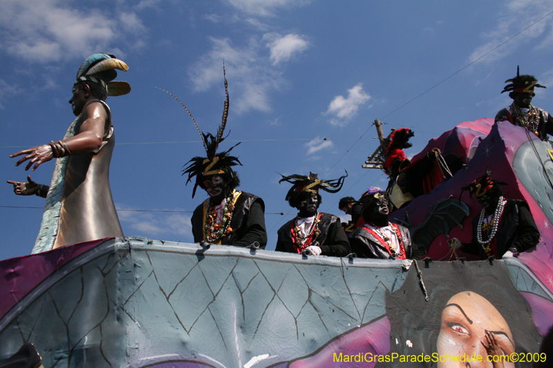 2009-Zulu-Social-Aid-and-Pleasure-Club-100-year-anniversary-Mardi-Gras-New-Orleans-2600