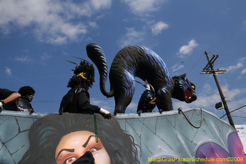 2009-Zulu-Social-Aid-and-Pleasure-Club-100-year-anniversary-Mardi-Gras-New-Orleans-2607