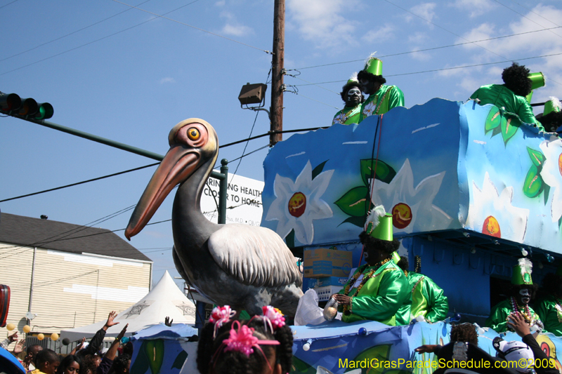 2009-Zulu-Social-Aid-and-Pleasure-Club-100-year-anniversary-Mardi-Gras-New-Orleans-2732