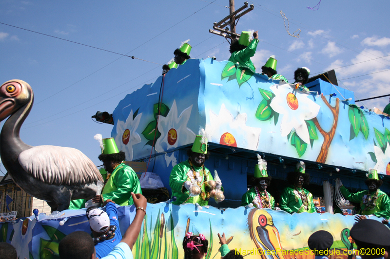 2009-Zulu-Social-Aid-and-Pleasure-Club-100-year-anniversary-Mardi-Gras-New-Orleans-2733