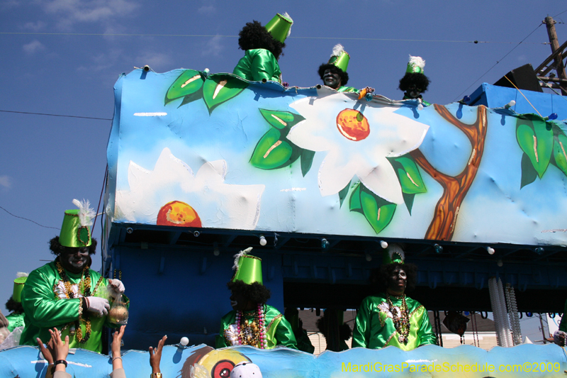 2009-Zulu-Social-Aid-and-Pleasure-Club-100-year-anniversary-Mardi-Gras-New-Orleans-2735