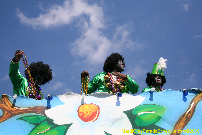 2009-Zulu-Social-Aid-and-Pleasure-Club-100-year-anniversary-Mardi-Gras-New-Orleans-2739