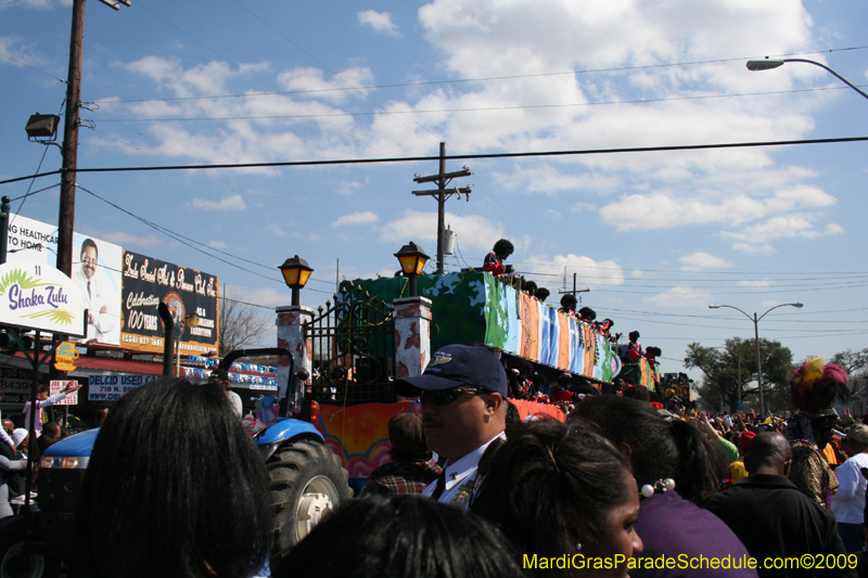 2009-Zulu-Social-Aid-and-Pleasure-Club-100-year-anniversary-Mardi-Gras-New-Orleans-2746