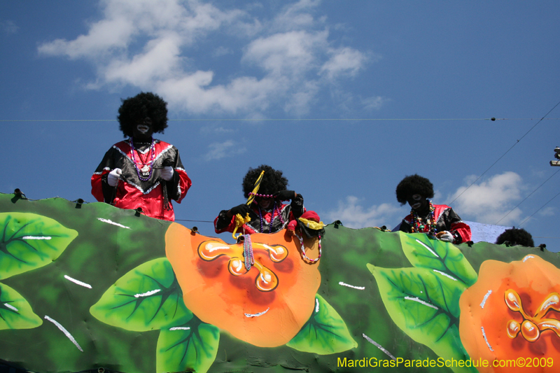 2009-Zulu-Social-Aid-and-Pleasure-Club-100-year-anniversary-Mardi-Gras-New-Orleans-2760