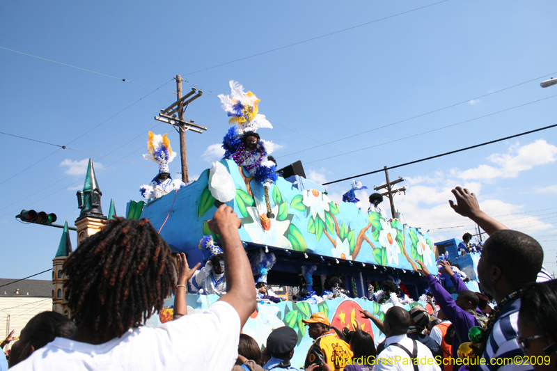 2009-Zulu-Social-Aid-and-Pleasure-Club-100-year-anniversary-Mardi-Gras-New-Orleans-2792