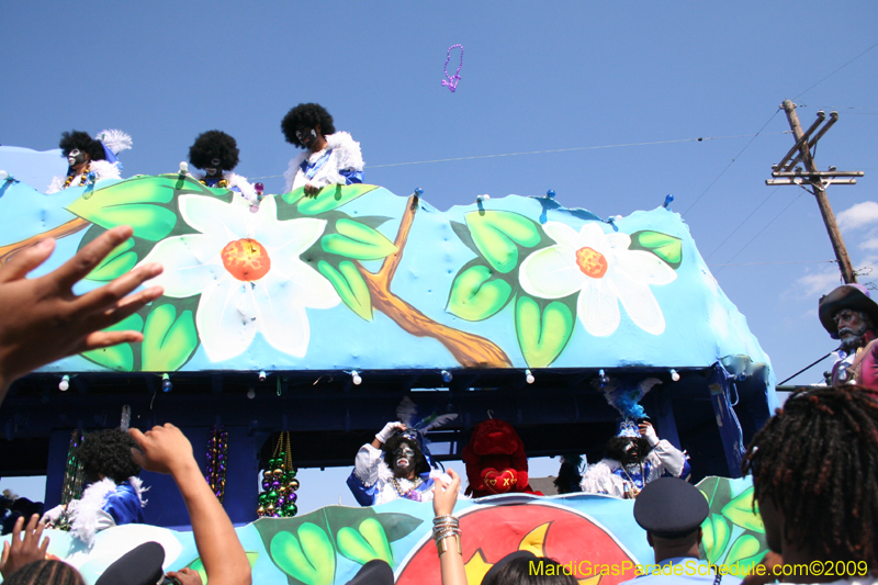 2009-Zulu-Social-Aid-and-Pleasure-Club-100-year-anniversary-Mardi-Gras-New-Orleans-2797