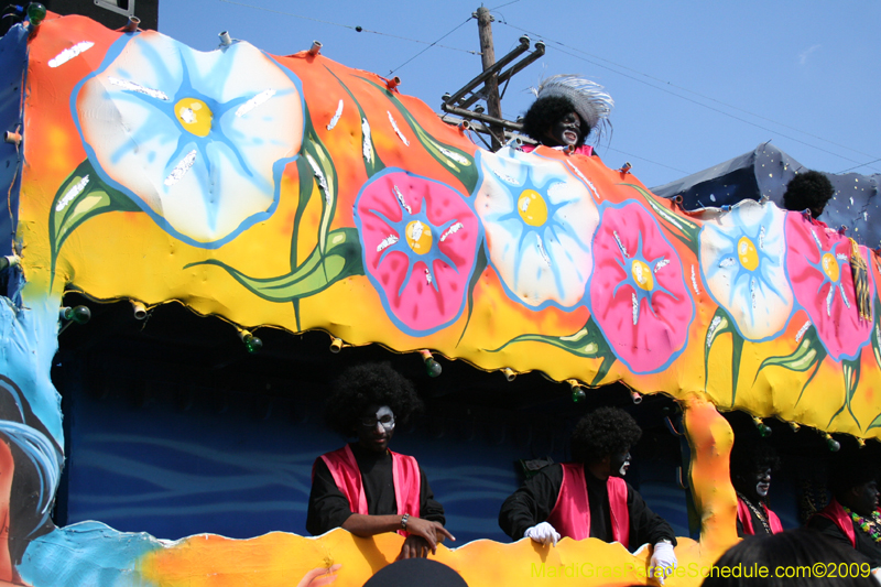 2009-Zulu-Social-Aid-and-Pleasure-Club-100-year-anniversary-Mardi-Gras-New-Orleans-2836