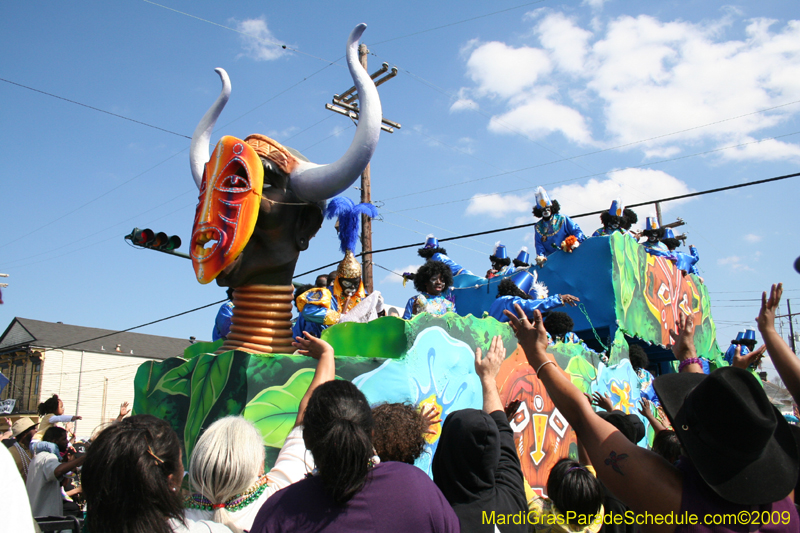 2009-Zulu-Social-Aid-and-Pleasure-Club-100-year-anniversary-Mardi-Gras-New-Orleans-2880