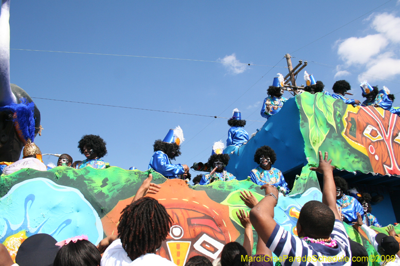 2009-Zulu-Social-Aid-and-Pleasure-Club-100-year-anniversary-Mardi-Gras-New-Orleans-2881