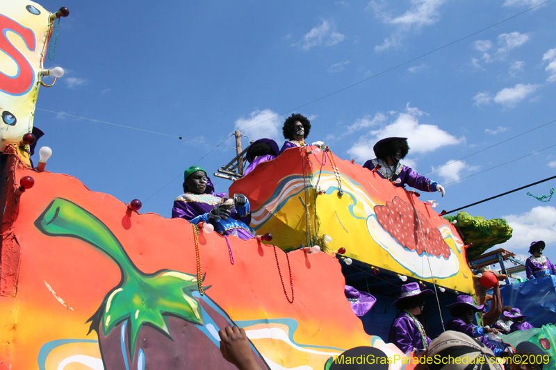 2009-Zulu-Social-Aid-and-Pleasure-Club-100-year-anniversary-Mardi-Gras-New-Orleans-2909