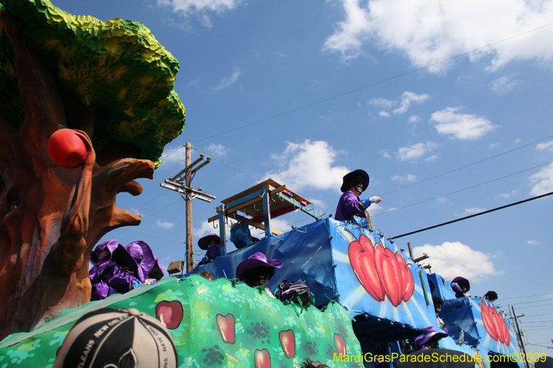 2009-Zulu-Social-Aid-and-Pleasure-Club-100-year-anniversary-Mardi-Gras-New-Orleans-2912