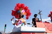 2009-Zulu-Social-Aid-and-Pleasure-Club-100-year-anniversary-Mardi-Gras-New-Orleans-2471