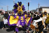 2009-Zulu-Social-Aid-and-Pleasure-Club-100-year-anniversary-Mardi-Gras-New-Orleans-2521