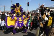 2009-Zulu-Social-Aid-and-Pleasure-Club-100-year-anniversary-Mardi-Gras-New-Orleans-2522