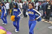 Zulu-SAPC-2011-0438