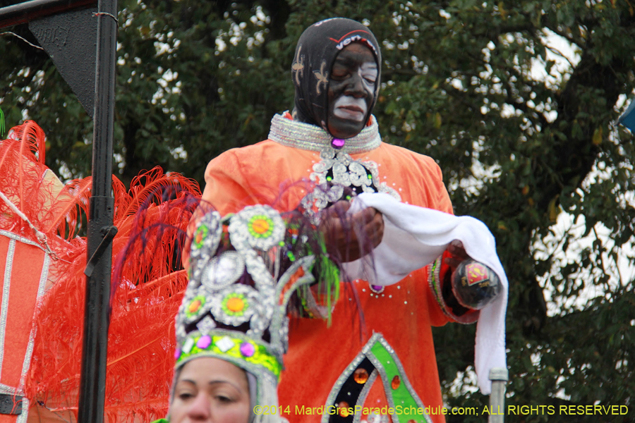 2014-Krewe-of-Zulu-SAPC-11151