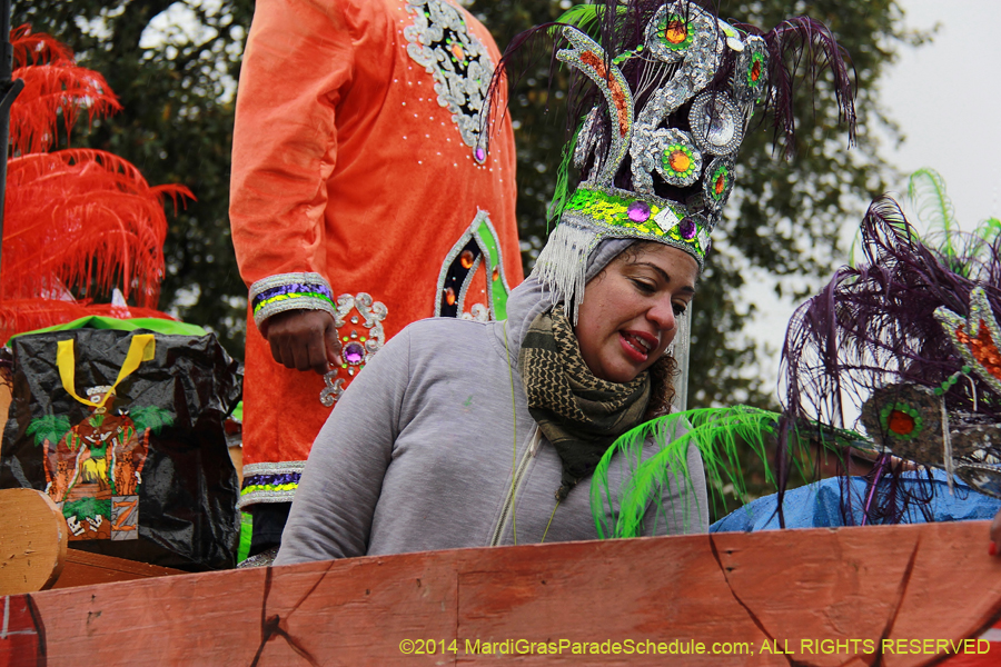 2014-Krewe-of-Zulu-SAPC-11152