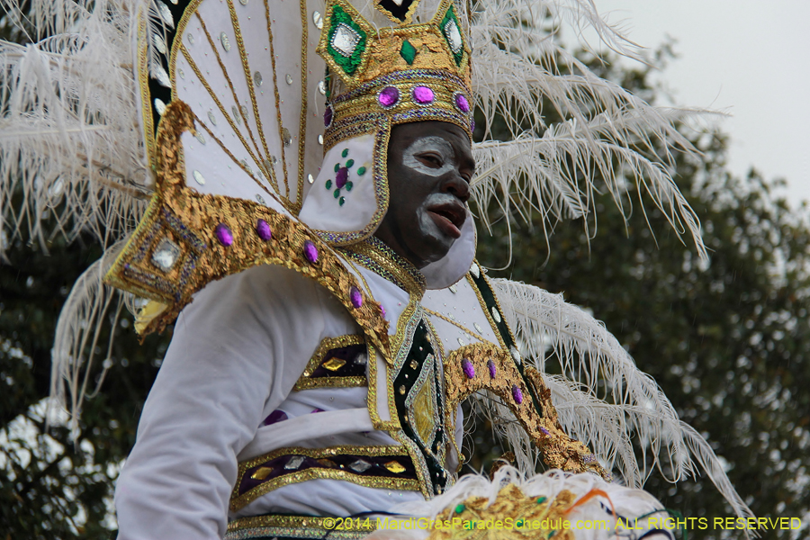 2014-Krewe-of-Zulu-SAPC-11159