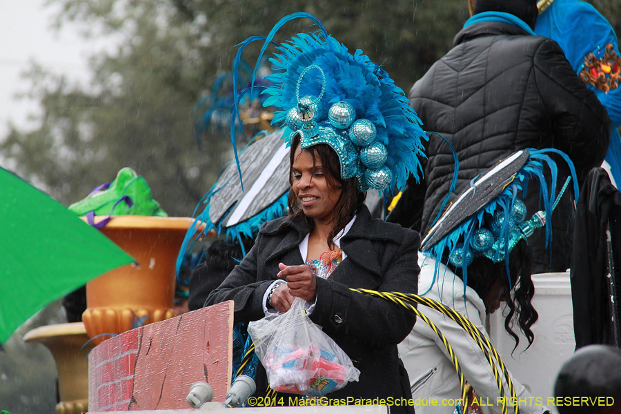 2014-Krewe-of-Zulu-SAPC-11162